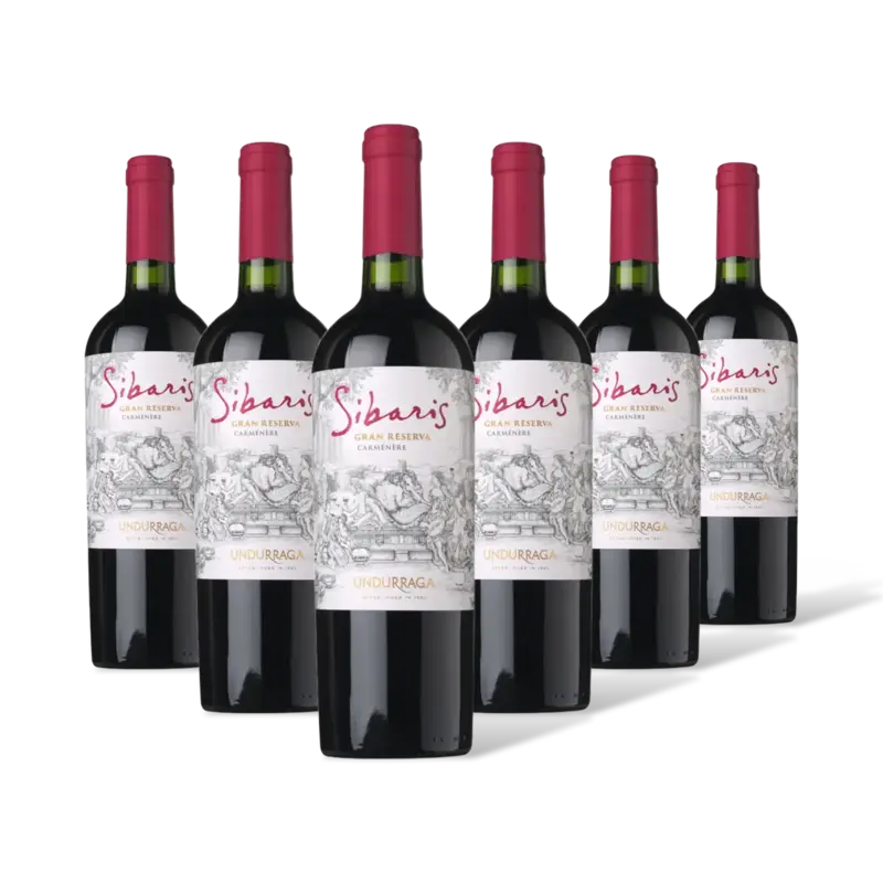 Sibaris Sibaris Carmenère Gran Res. 6 flessen
