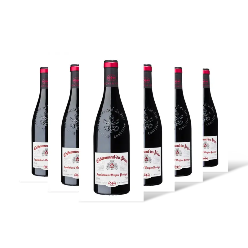 Vignerons l'Enclave Vignerons l'Enclave CDP 6 flessen