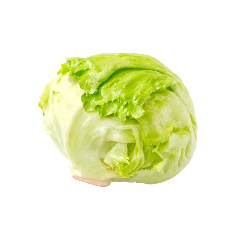 AH Ijsbergsla