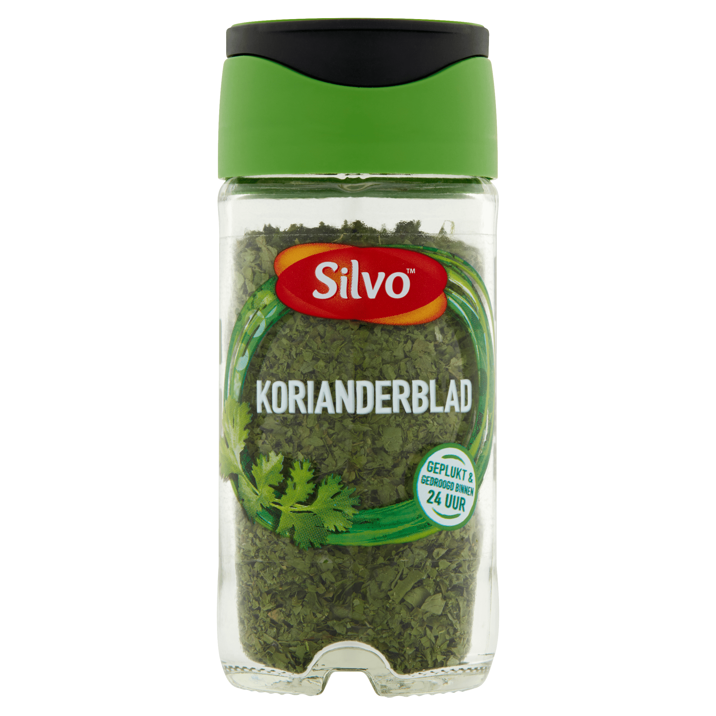 Silvo Korianderblad