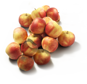 Elstar Appels Verpakt