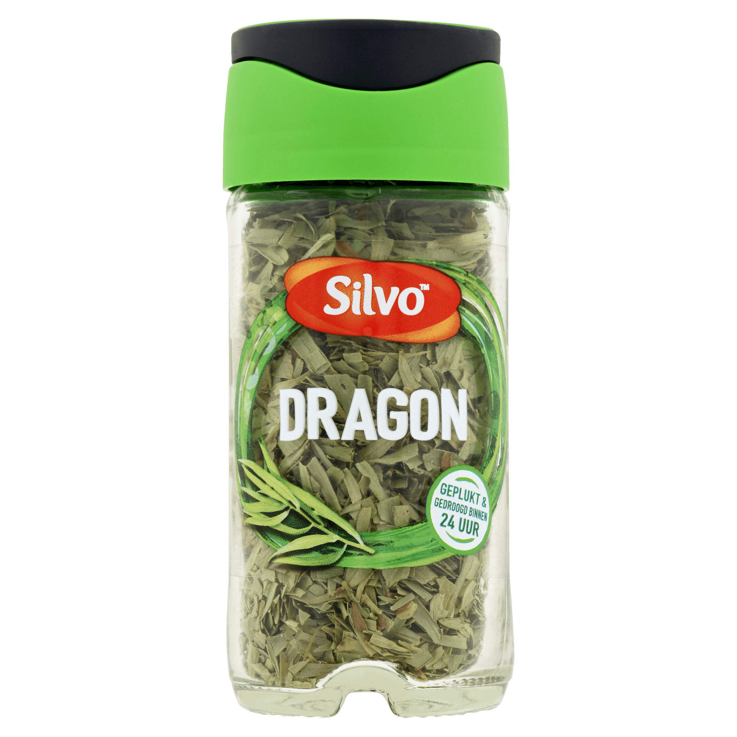 Silvo Dragon