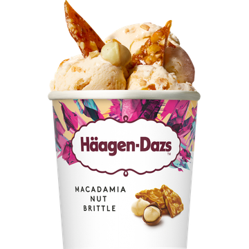 Häagen-Dazs Macadamia Nut Brittle 460ml