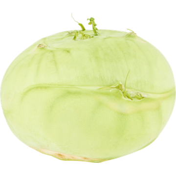Jumbo Koolrabi