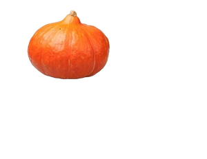 Bio+ Pompoen