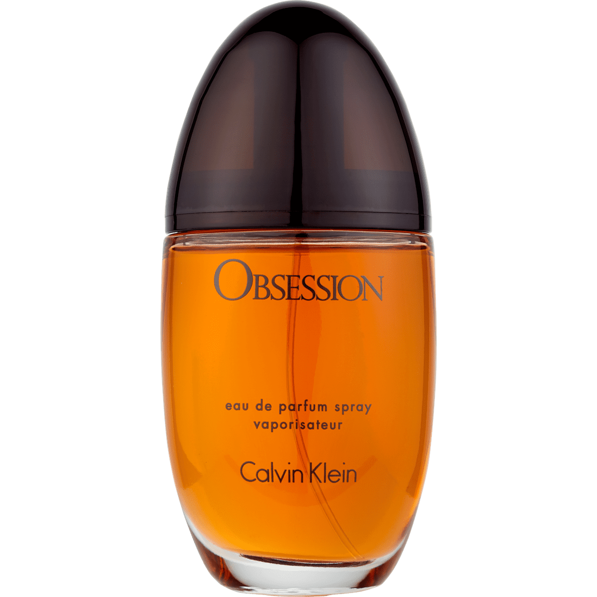 Calvin Klein Obsession Eau De Parfum 100 ML