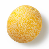 galia meloen galia meloen
