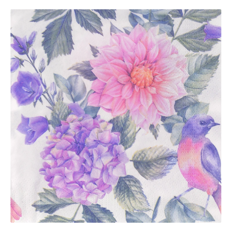 AH Servet dahlia