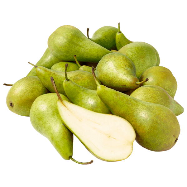 PLUS Conference Peren los