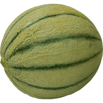 Cantaloupe meloen
