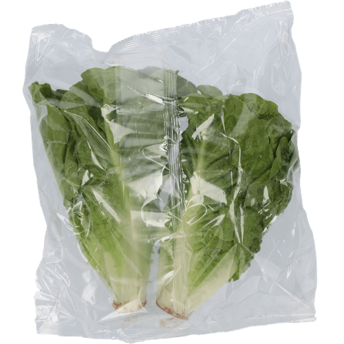 1 de Beste Mini romaine