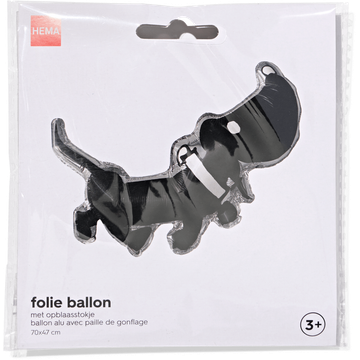 HEMA Folie Ballon Takkie met Opblaasstokje 3+
