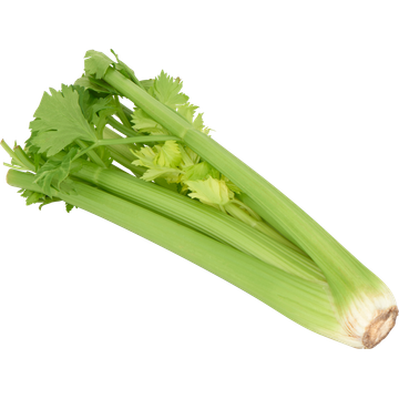 Jumbo Bleekselderij