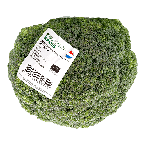 Biologisch PLUS Broccoli