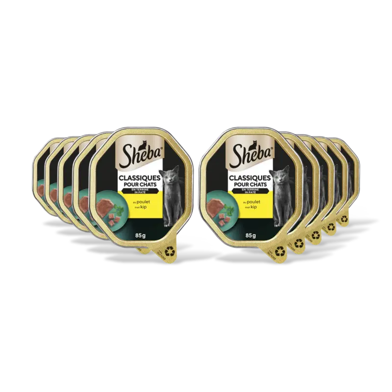Sheba Classics pat met kip 10-pack