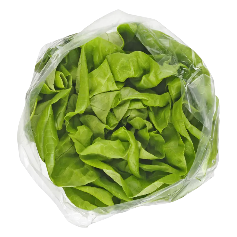 AH Kropsla