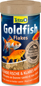 Tetra Goldfish