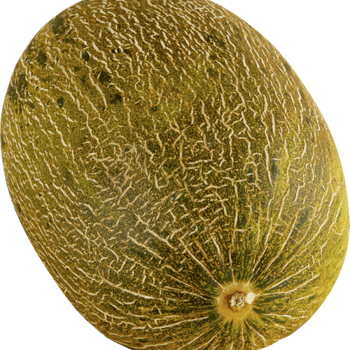 Piel de sapo meloen
