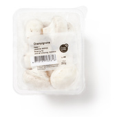 champignons wit