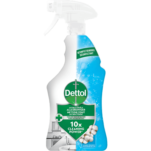 Dettol Allesreiniger spray power and fresh