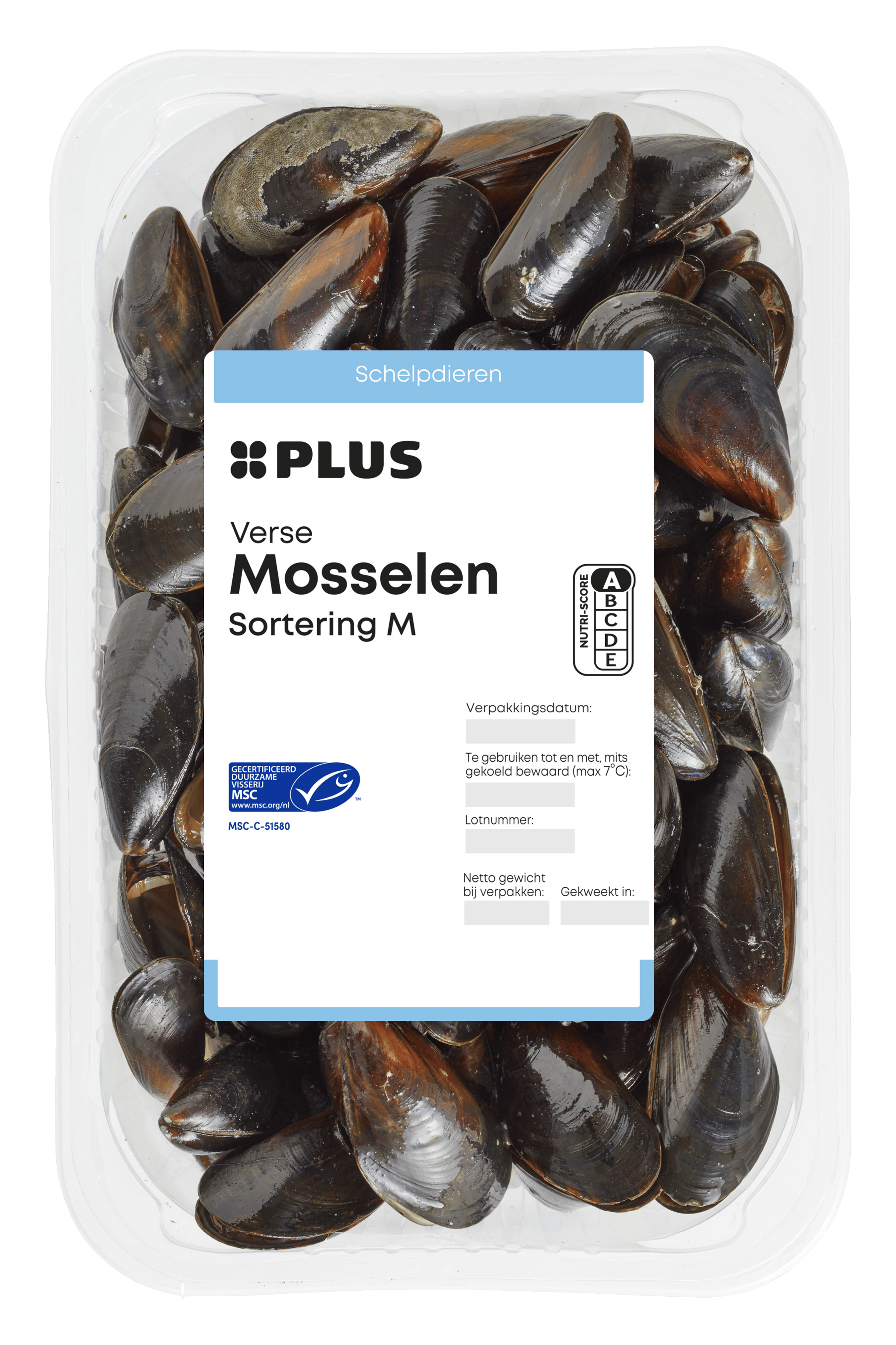 PLUS Oosterschelde mosselen