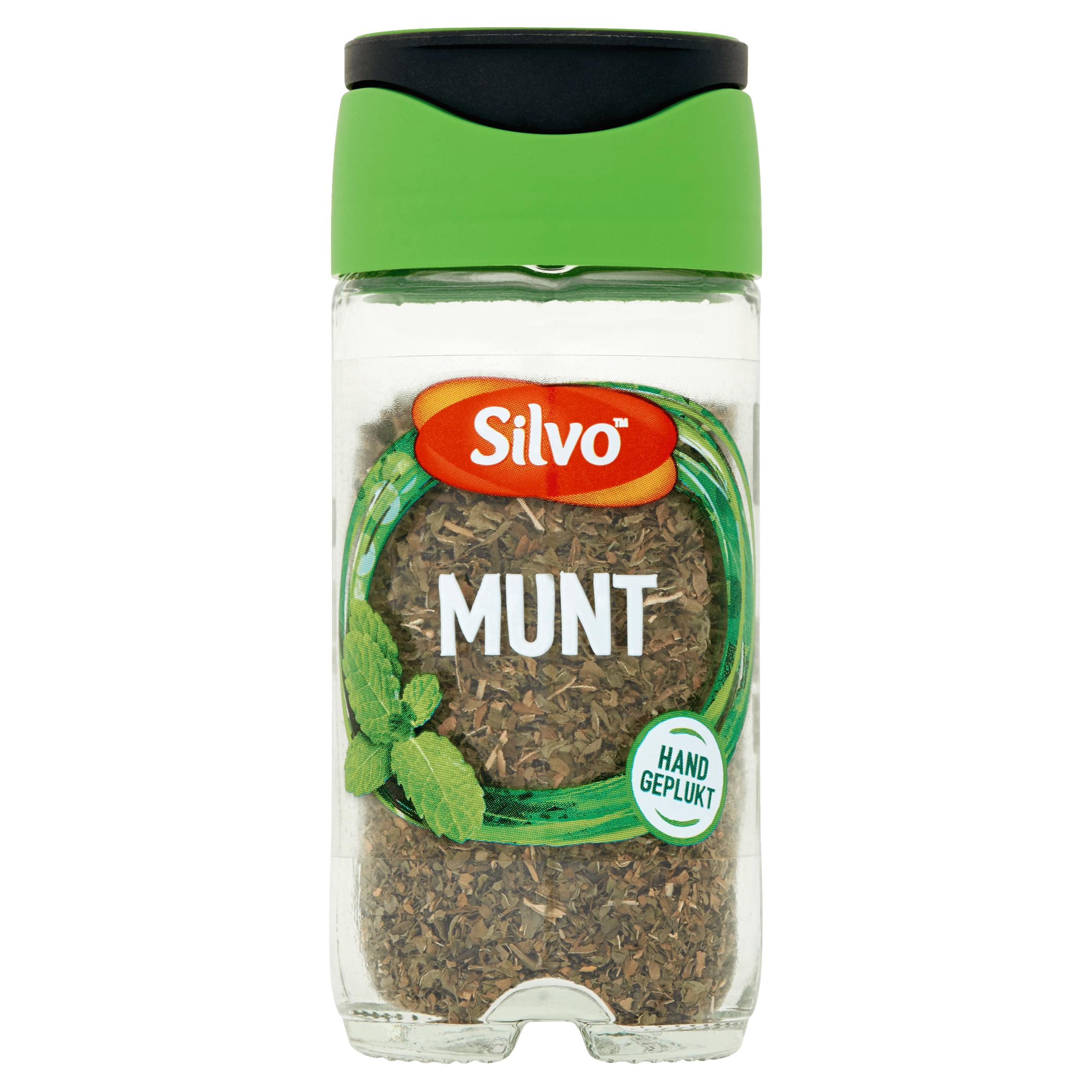 Silvo Munt