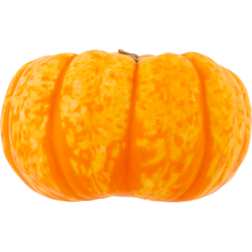 Mini Pompoen