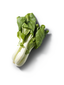 Paksoi