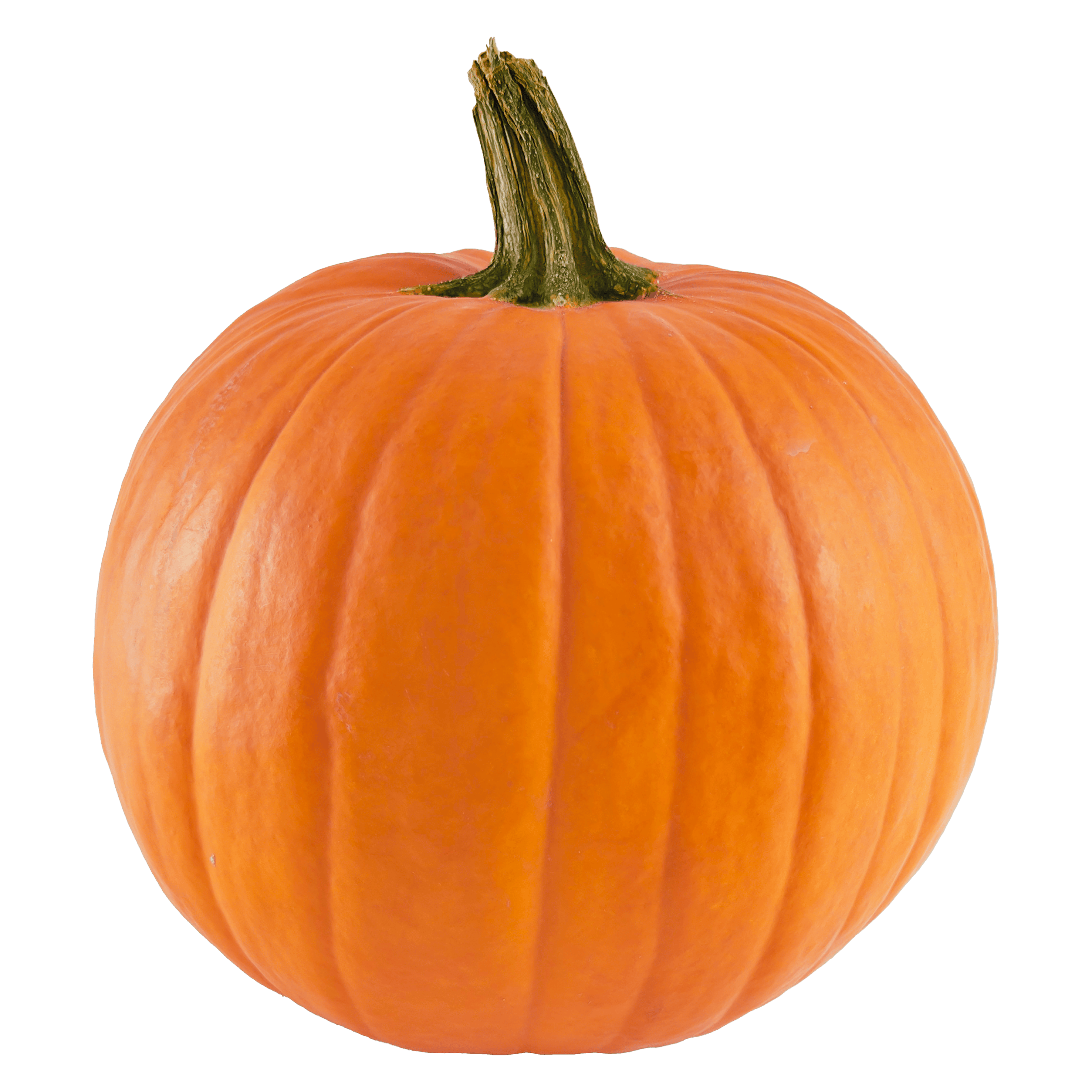 PLUS Halloweenpompoen