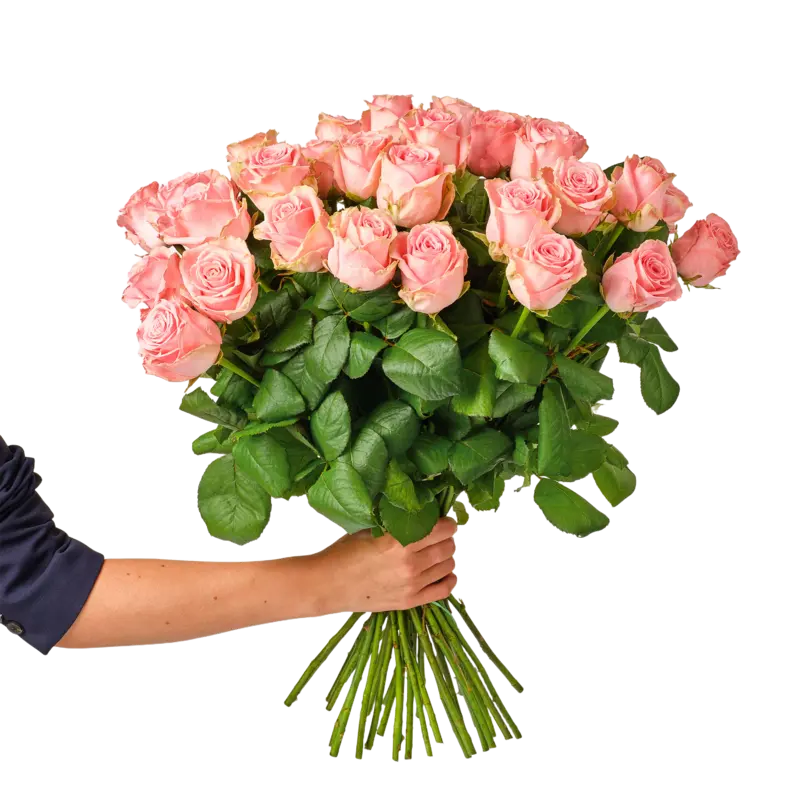 AH Roze rozen x30