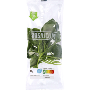 Basilicum