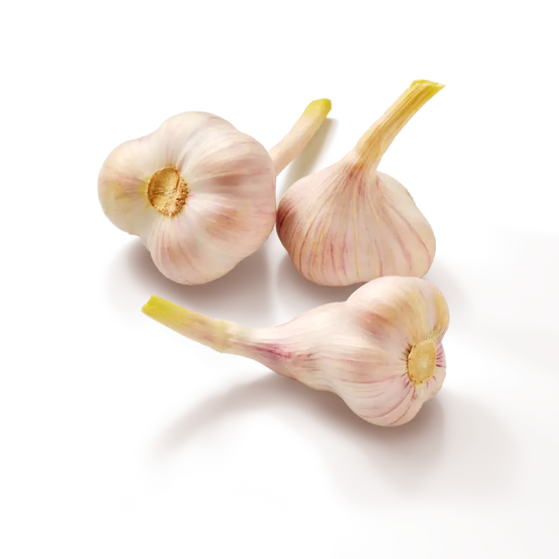 AH Verse knoflook