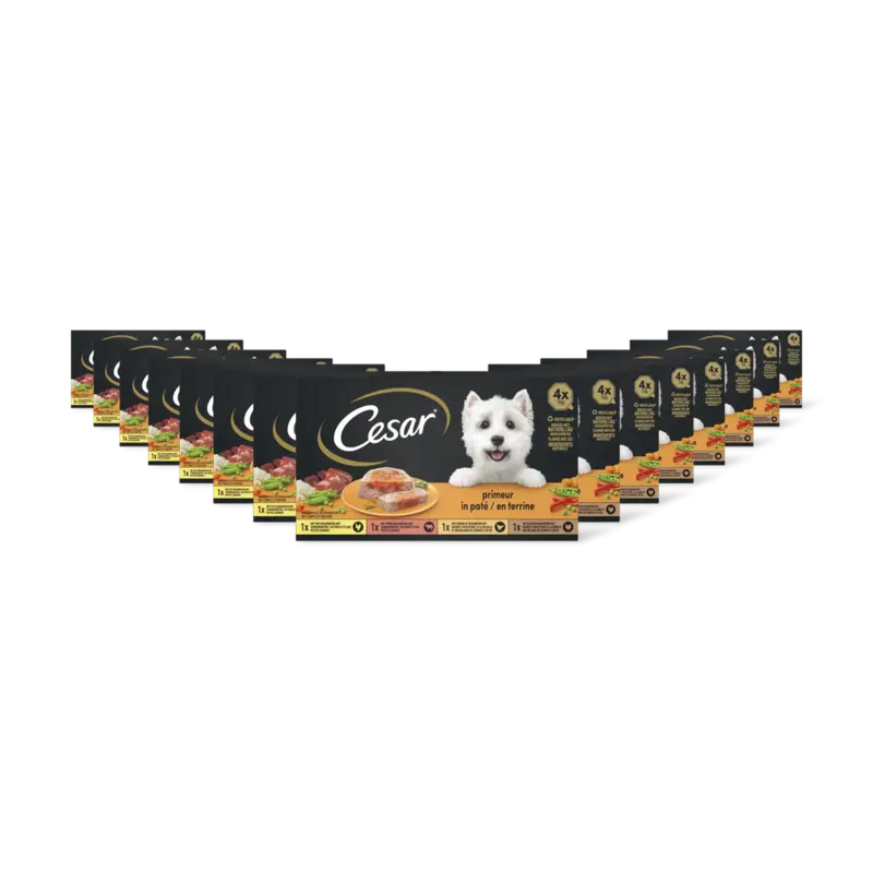 Cesar Hondenvoer nat primeur 15-pack